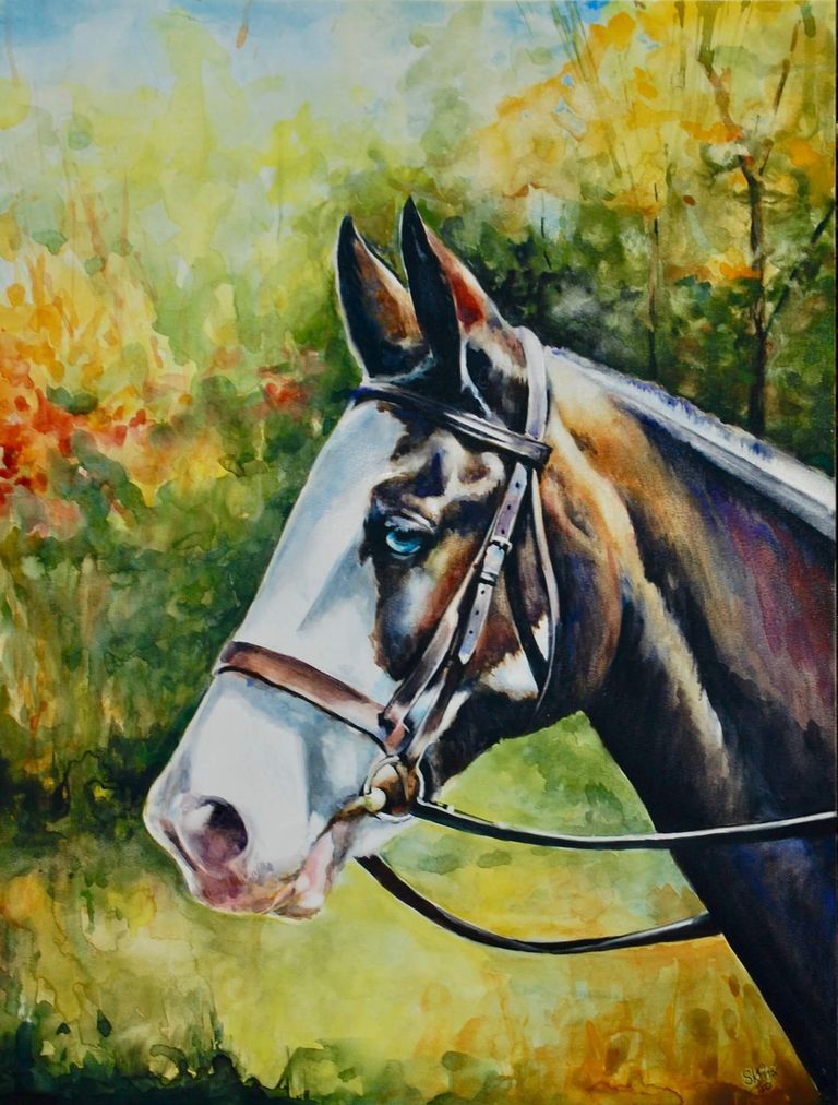 Equine portrait in watercolour by kay Prior