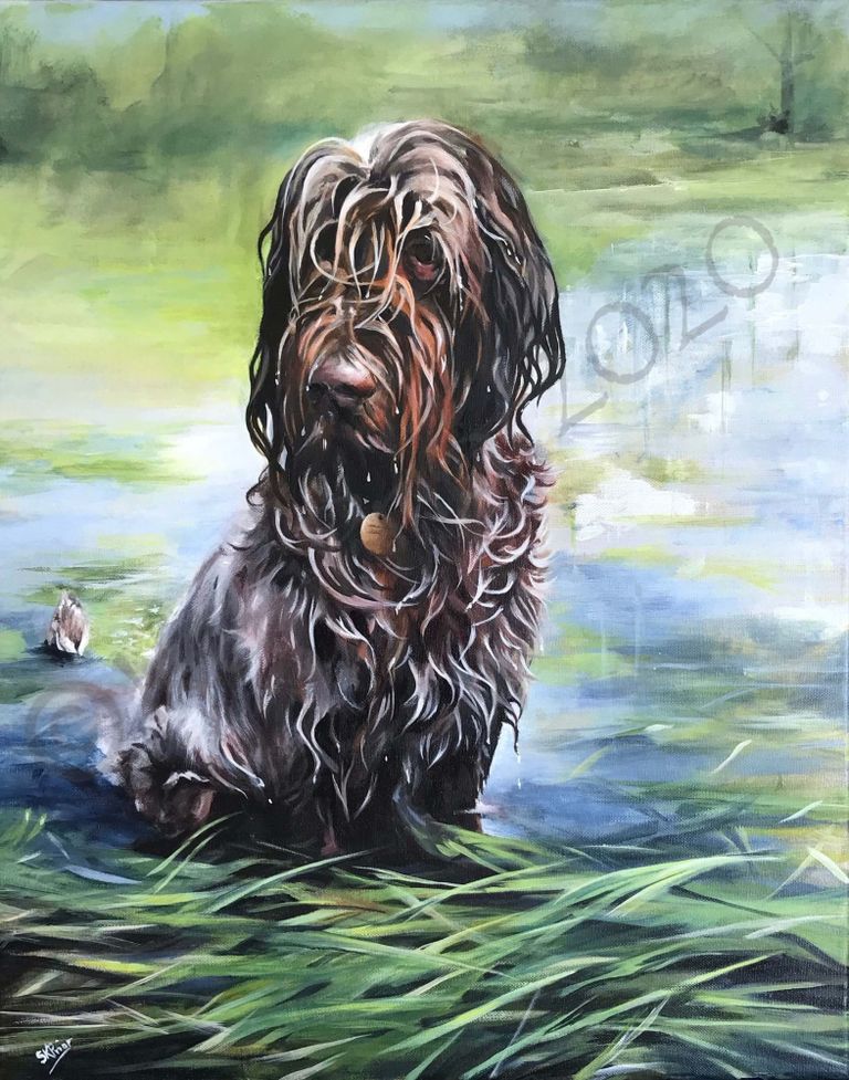 Italian Spinone portrait painted by Kay Prior