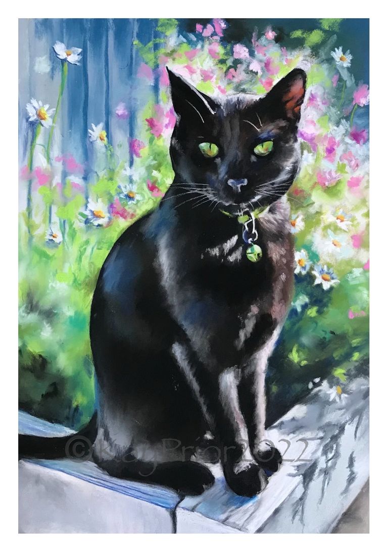 Portrait of a black cat in pastels by Kay Prior