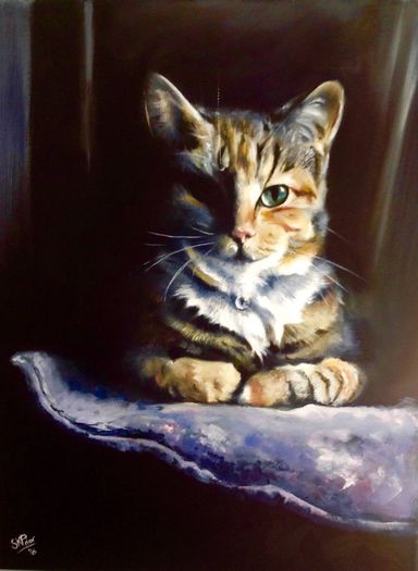 Portrait of a cat painted in Oils