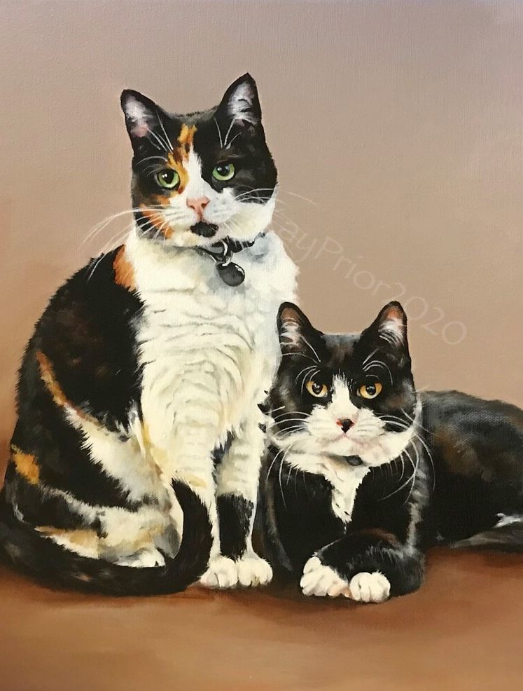 cat portrait in acrylics by kay Prior