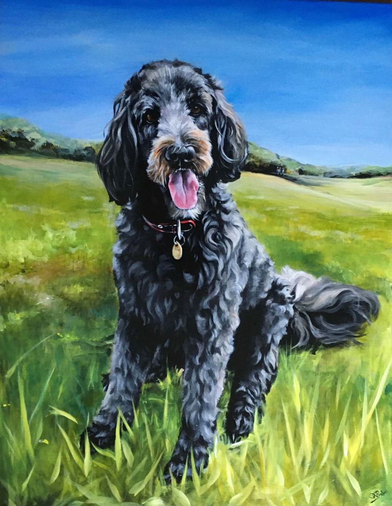 Labradoodle portrait in Acrylics by kay prior